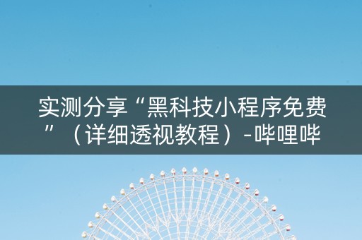 实测分享“黑科技小程序免费”（详细透视教程）-哔哩哔哩