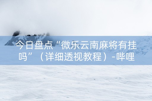 今日盘点“微乐云南麻将有挂吗”（详细透视教程）-哔哩哔哩