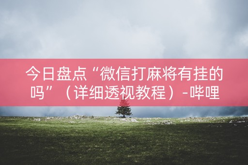今日盘点“微信打麻将有挂的吗”（详细透视教程）-哔哩哔哩