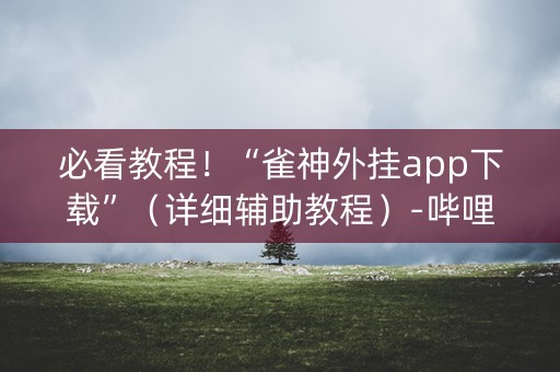 必看教程！“雀神外挂app下载”（详细辅助教程）-哔哩哔哩