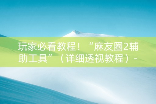 玩家必看教程！“麻友圈2辅助工具”（详细透视教程）-哔哩哔哩