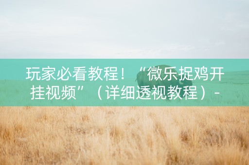 玩家必看教程！“微乐捉鸡开挂视频”（详细透视教程）-哔哩哔哩