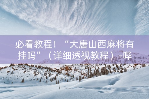 必看教程！“大唐山西麻将有挂吗”（详细透视教程）-哔哩哔哩