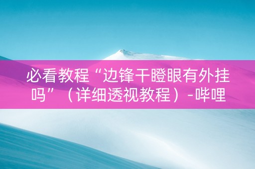 必看教程“边锋干瞪眼有外挂吗”（详细透视教程）-哔哩哔哩