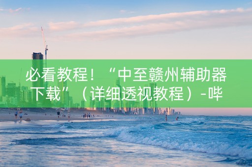 必看教程！“中至赣州辅助器下载”（详细透视教程）-哔哩哔哩