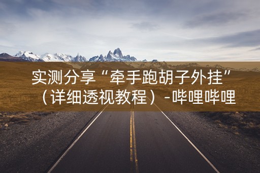 实测分享“牵手跑胡子外挂”（详细透视教程）-哔哩哔哩