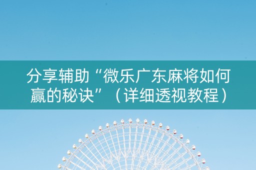 分享辅助“微乐广东麻将如何赢的秘诀”（详细透视教程）-哔哩哔哩