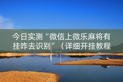 今日实测“微信上微乐麻将有挂咋去识别”（详细开挂教程）-哔哩哔哩
