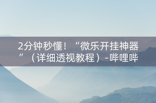 2分钟秒懂！“微乐开挂神器”（详细透视教程）-哔哩哔哩