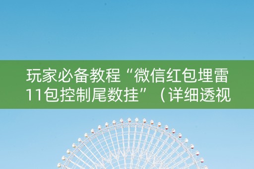 玩家必备教程“微信红包埋雷11包控制尾数挂”（详细透视教程）-哔哩哔哩