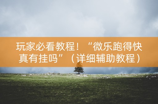 玩家必看教程！“微乐跑得快真有挂吗”（详细辅助教程）-哔哩哔哩