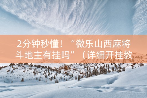 2分钟秒懂！“微乐山西麻将斗地主有挂吗”（详细开挂教程）-哔哩哔哩