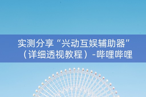 实测分享“兴动互娱辅助器”（详细透视教程）-哔哩哔哩