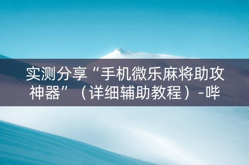 实测分享“手机微乐麻将助攻神器”（详细辅助教程）-哔哩哔哩