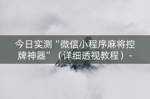 今日实测“微信小程序麻将控牌神器”（详细透视教程）-哔哩哔哩