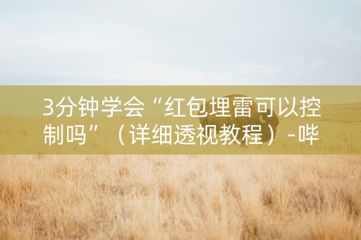 3分钟学会“红包埋雷可以控制吗”（详细透视教程）-哔哩哔哩