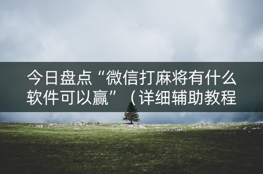 今日盘点“微信打麻将有什么软件可以赢”（详细辅助教程）-哔哩哔哩