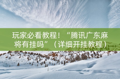 玩家必看教程！“腾讯广东麻将有挂吗”（详细开挂教程）-哔哩哔哩