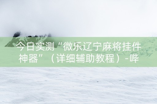 今日实测“微乐辽宁麻将挂件神器”（详细辅助教程）-哔哩哔哩
