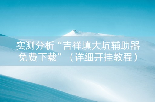 实测分析“吉祥填大坑辅助器免费下载”（详细开挂教程）-哔哩哔哩