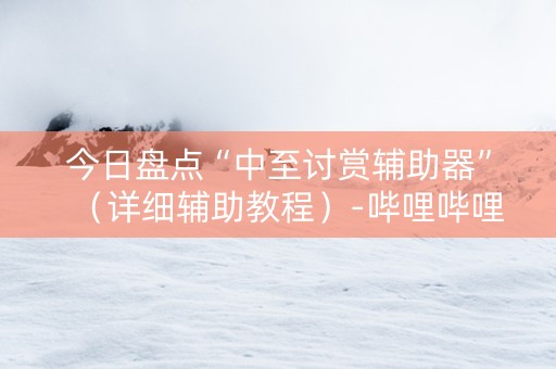 今日盘点“中至讨赏辅助器”（详细辅助教程）-哔哩哔哩