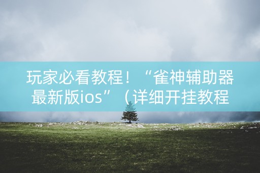 玩家必看教程！“雀神辅助器最新版ios”（详细开挂教程）-哔哩哔哩