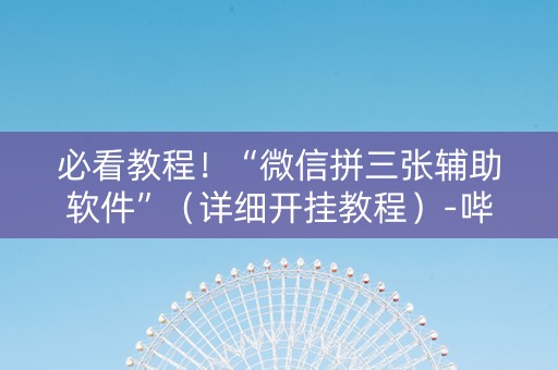必看教程！“微信拼三张辅助软件”（详细开挂教程）-哔哩哔哩