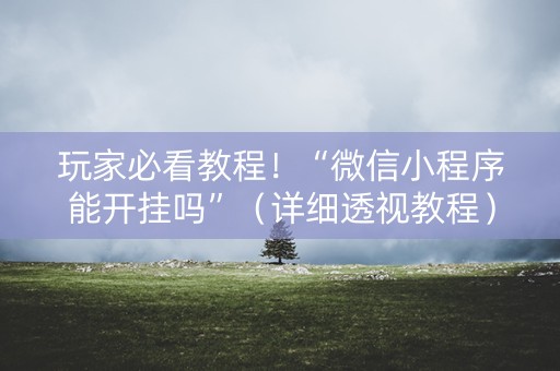 玩家必看教程！“微信小程序能开挂吗”（详细透视教程）-哔哩哔哩