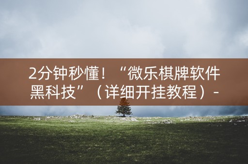2分钟秒懂！“微乐棋牌软件黑科技”（详细开挂教程）-哔哩哔哩