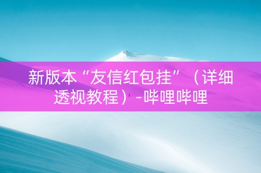 新版本“友信红包挂”（详细透视教程）-哔哩哔哩