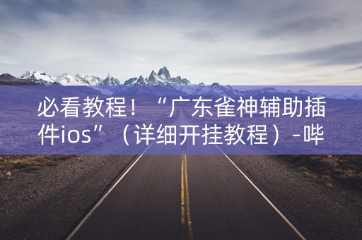 必看教程！“广东雀神辅助插件ios”（详细开挂教程）-哔哩哔哩