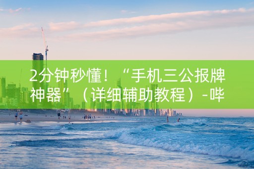 2分钟秒懂！“手机三公报牌神器”（详细辅助教程）-哔哩哔哩