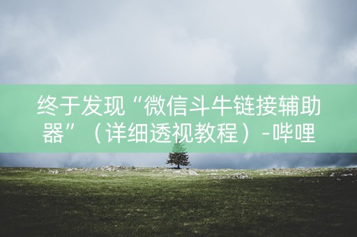 终于发现“微信斗牛链接辅助器”（详细透视教程）-哔哩哔哩