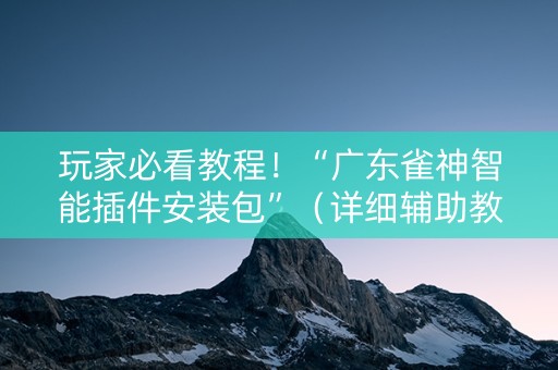 玩家必看教程！“广东雀神智能插件安装包”（详细辅助教程）-哔哩哔哩