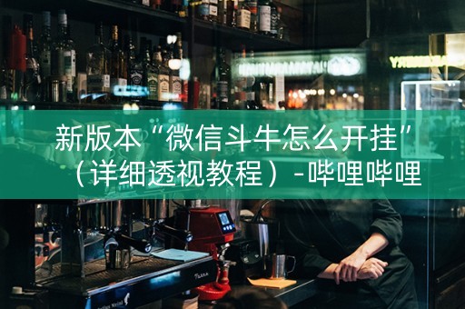 新版本“微信斗牛怎么开挂”（详细透视教程）-哔哩哔哩