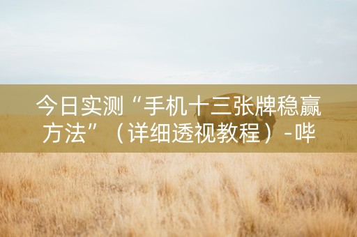 今日实测“手机十三张牌稳赢方法”（详细透视教程）-哔哩哔哩
