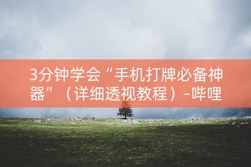 3分钟学会“手机打牌必备神器”（详细透视教程）-哔哩哔哩