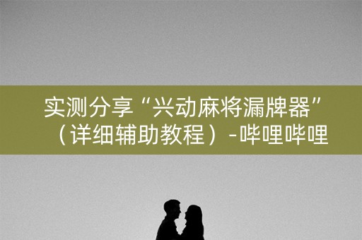 实测分享“兴动麻将漏牌器”（详细辅助教程）-哔哩哔哩