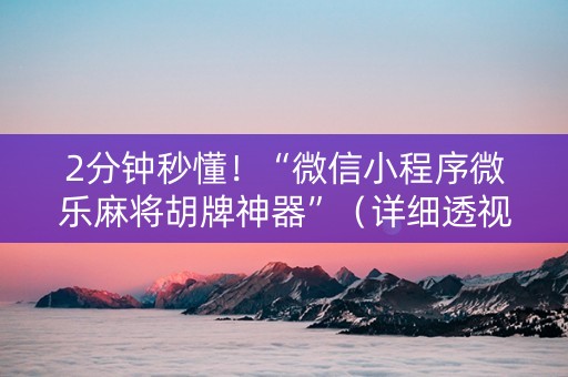2分钟秒懂！“微信小程序微乐麻将胡牌神器”（详细透视教程）-哔哩哔哩