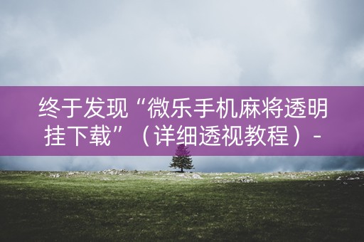 终于发现“微乐手机麻将透明挂下载”（详细透视教程）-哔哩哔哩