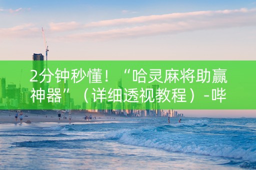 2分钟秒懂！“哈灵麻将助赢神器”（详细透视教程）-哔哩哔哩