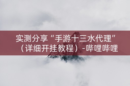 实测分享“手游十三水代理”（详细开挂教程）-哔哩哔哩