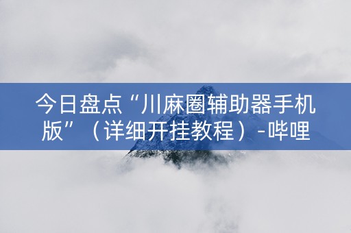 今日盘点“川麻圈辅助器手机版”（详细开挂教程）-哔哩哔哩