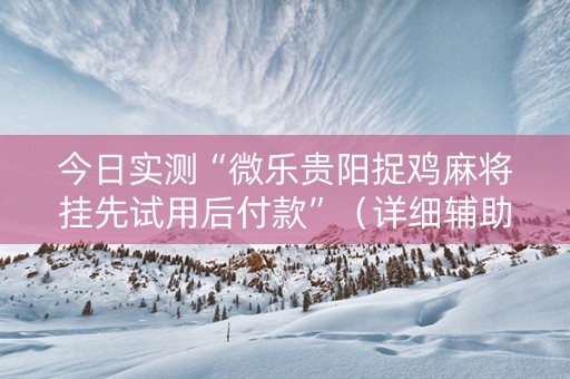 今日实测“微乐贵阳捉鸡麻将挂先试用后付款”（详细辅助教程）-哔哩哔哩