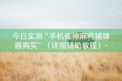 今日实测“手机雀神麻将辅牌器购买”（详细辅助教程）-哔哩哔哩