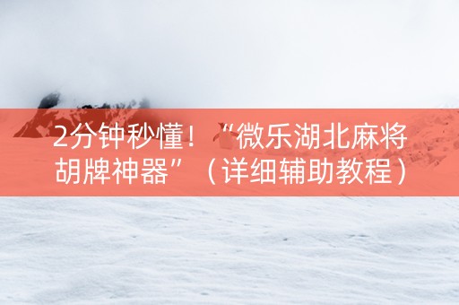 2分钟秒懂！“微乐湖北麻将胡牌神器”（详细辅助教程）-哔哩哔哩
