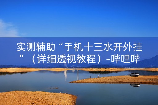 实测辅助“手机十三水开外挂”（详细透视教程）-哔哩哔哩
