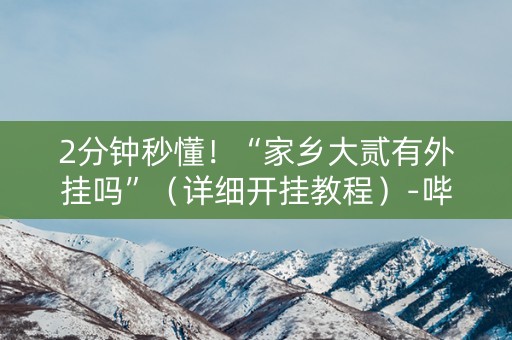 2分钟秒懂！“家乡大贰有外挂吗”（详细开挂教程）-哔哩哔哩