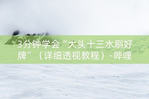 3分钟学会“大头十三水刷好牌”（详细透视教程）-哔哩哔哩