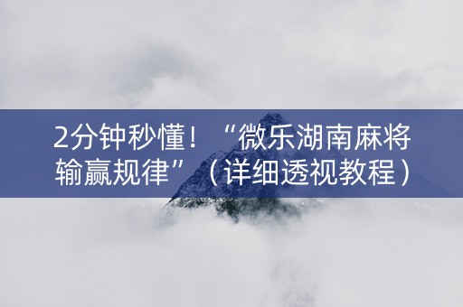 2分钟秒懂！“微乐湖南麻将输赢规律”（详细透视教程）-哔哩哔哩